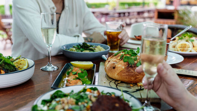 Bearded Dragon Destination Scenic Rim