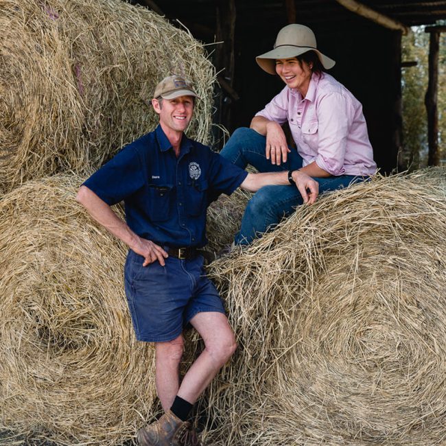 destination-scenic-rim-live-like-a-local-tommerups-dairy-farm