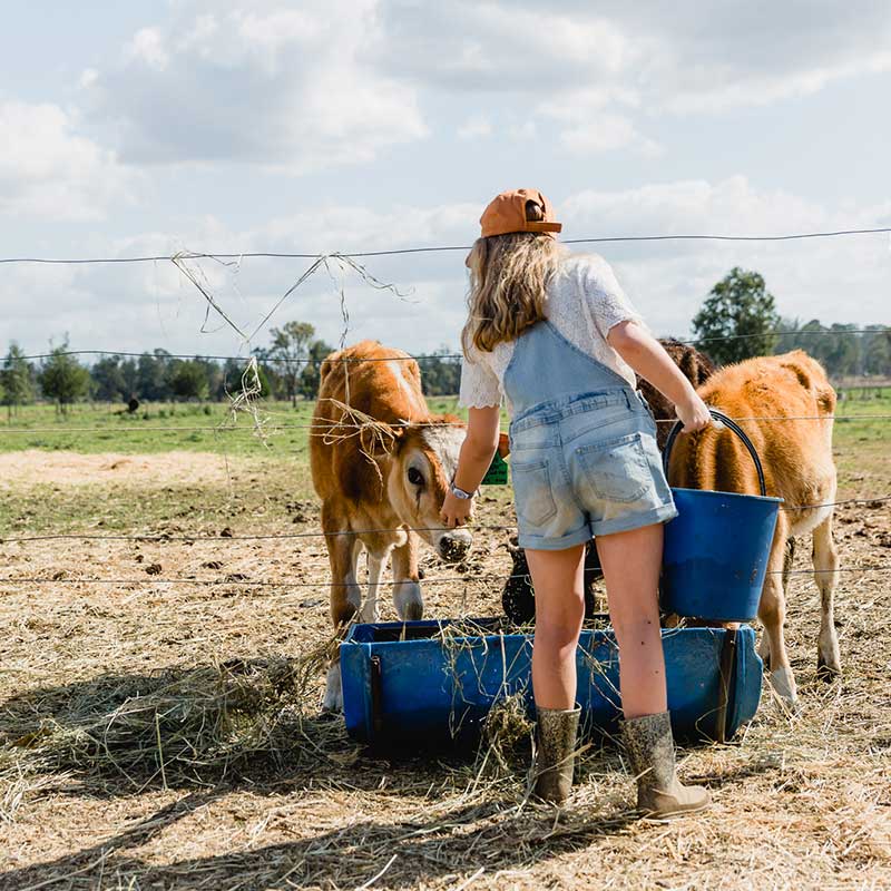 destination-scenic-rim-news-events-buy-from-the-bush