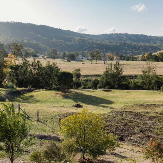 greenlee-cottages-macadamia-farm-tours