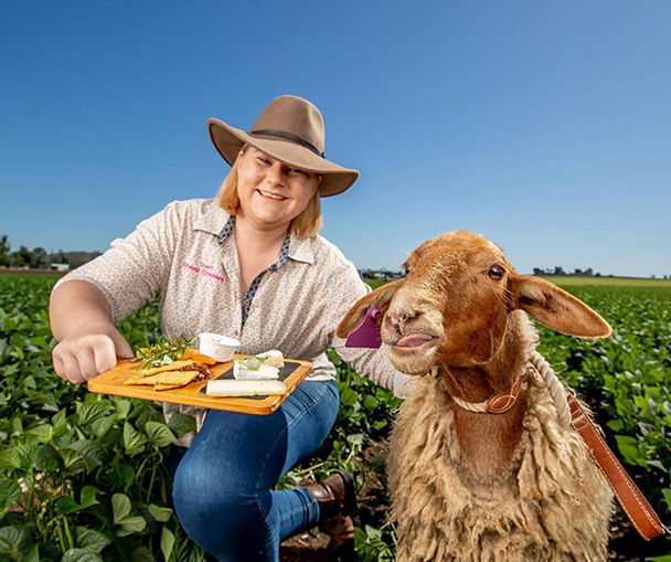 dallas-towri-sheep-cheeses