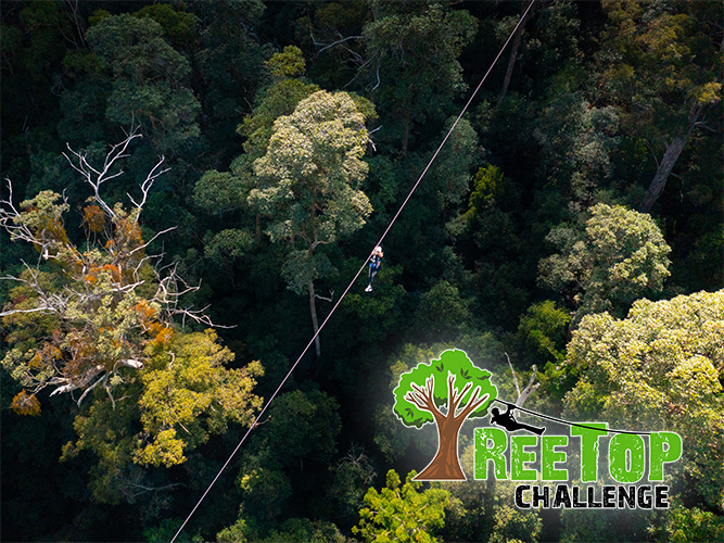 TreeTop Challenge